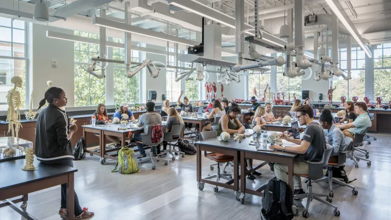 Student working in the Biology lab at Moseley Hall