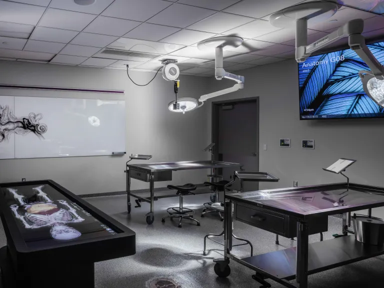 dramatically-lit classroom with digital anatomy and stainless steel dissection tables