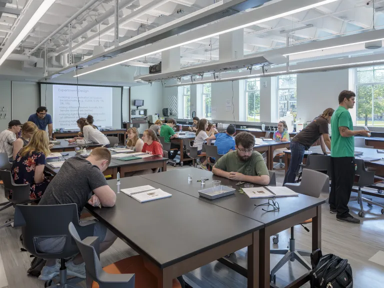 Biology class in session in a brightly lit classroom.