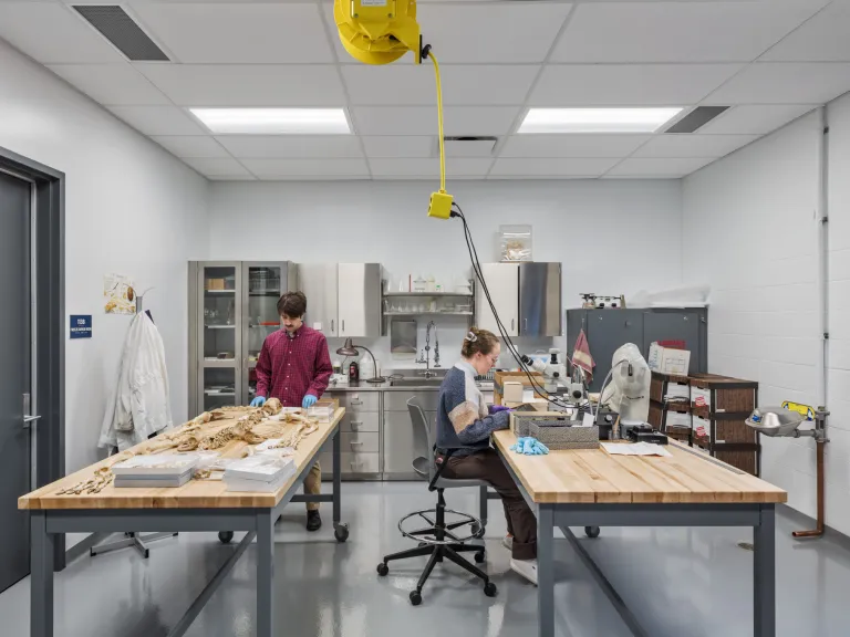 lab with equipment for preserving artifacts