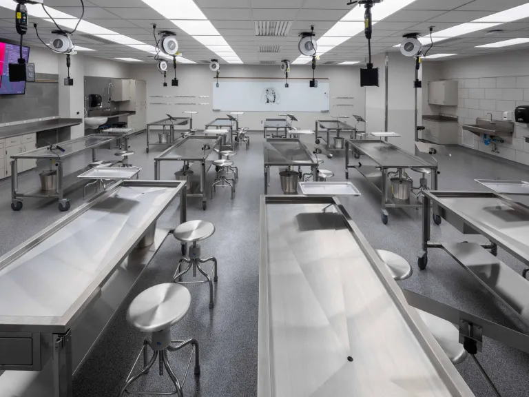 classroom with stainless steel dissection tables