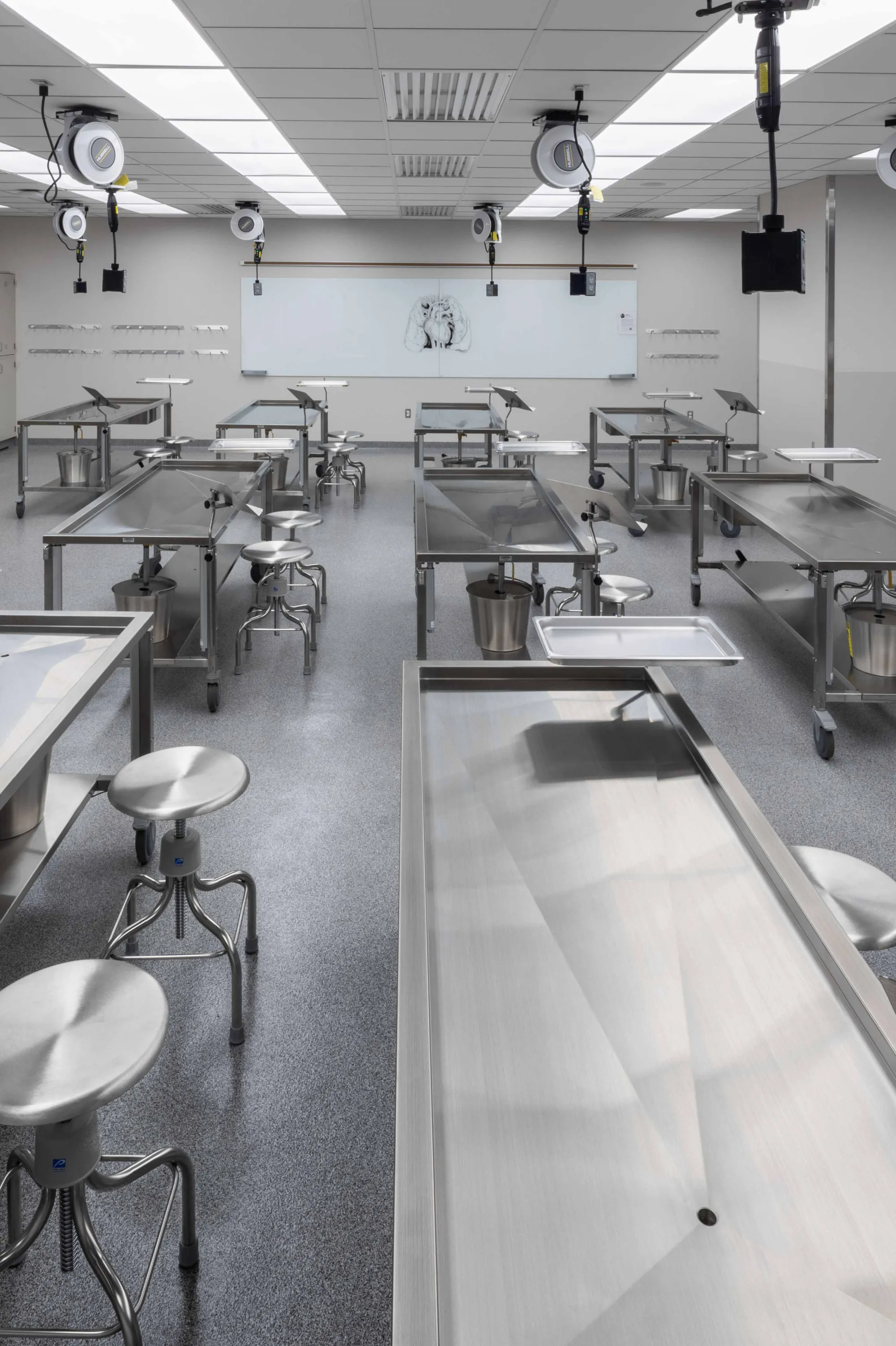 classroom with stainless steel dissection tables