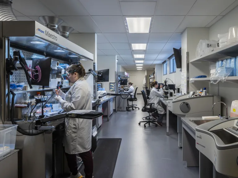 Ohio State University laboratory with woman working under fume hood on the left.